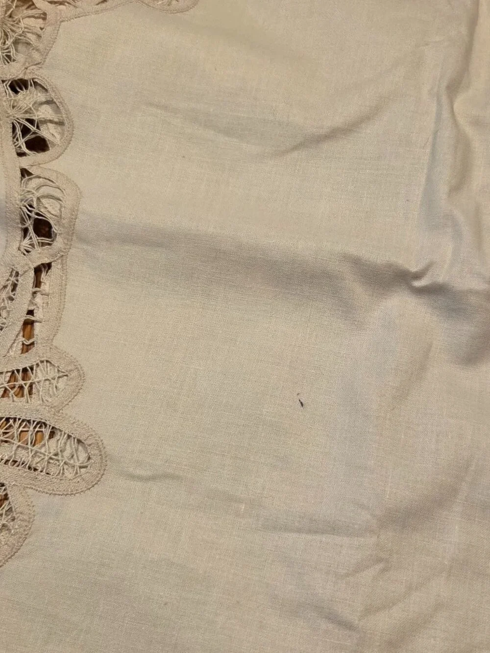 Battenburg Lace Hand Painted Rose Tablecloth 68x120 Ecru Beige with Cutouts, NWT